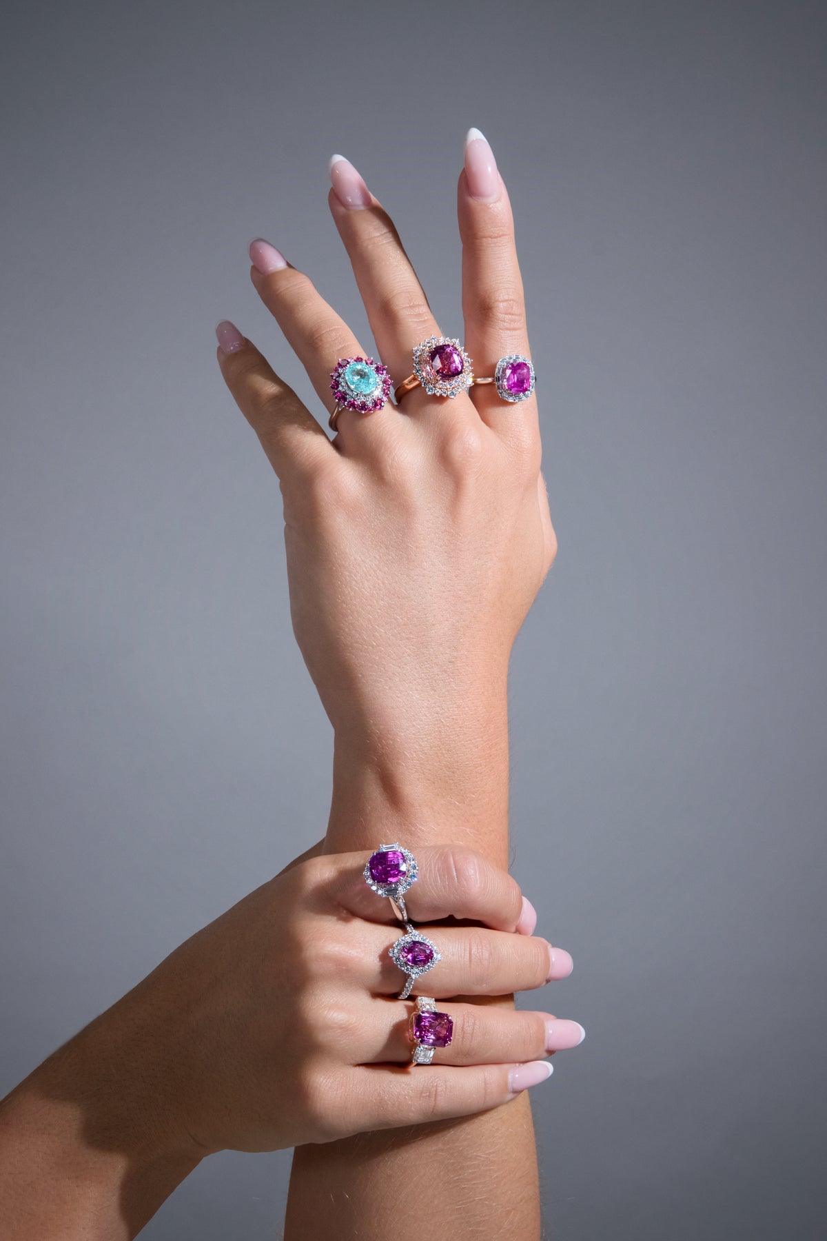 Vanda Pink Crown
