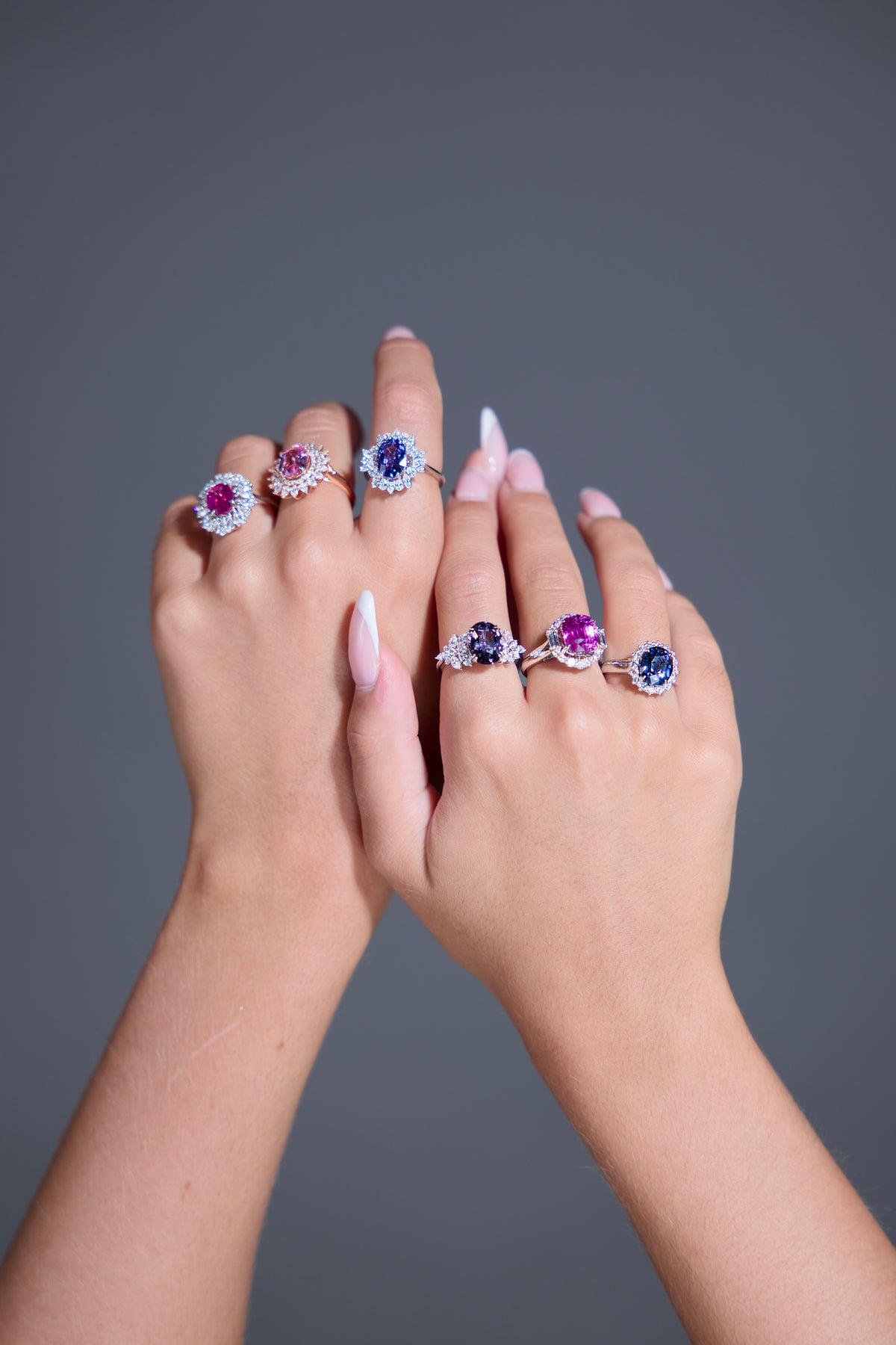 Éclosion Violette