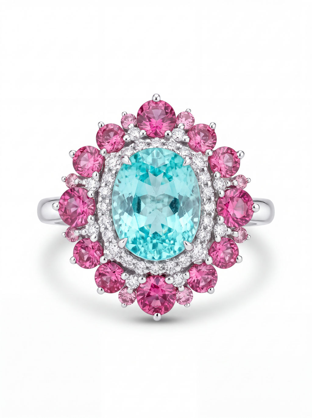 Paraiba Bloom