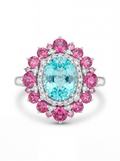 Paraiba Bloom