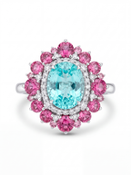 Paraiba Bloom