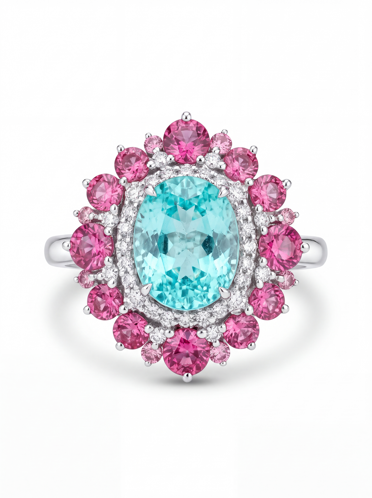 Paraiba Bloom