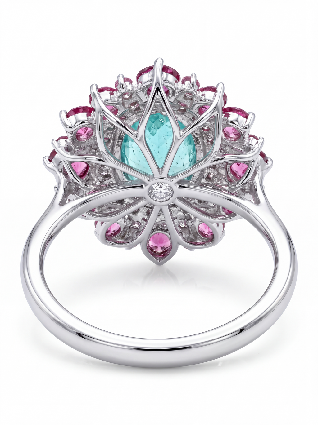 Paraiba Bloom