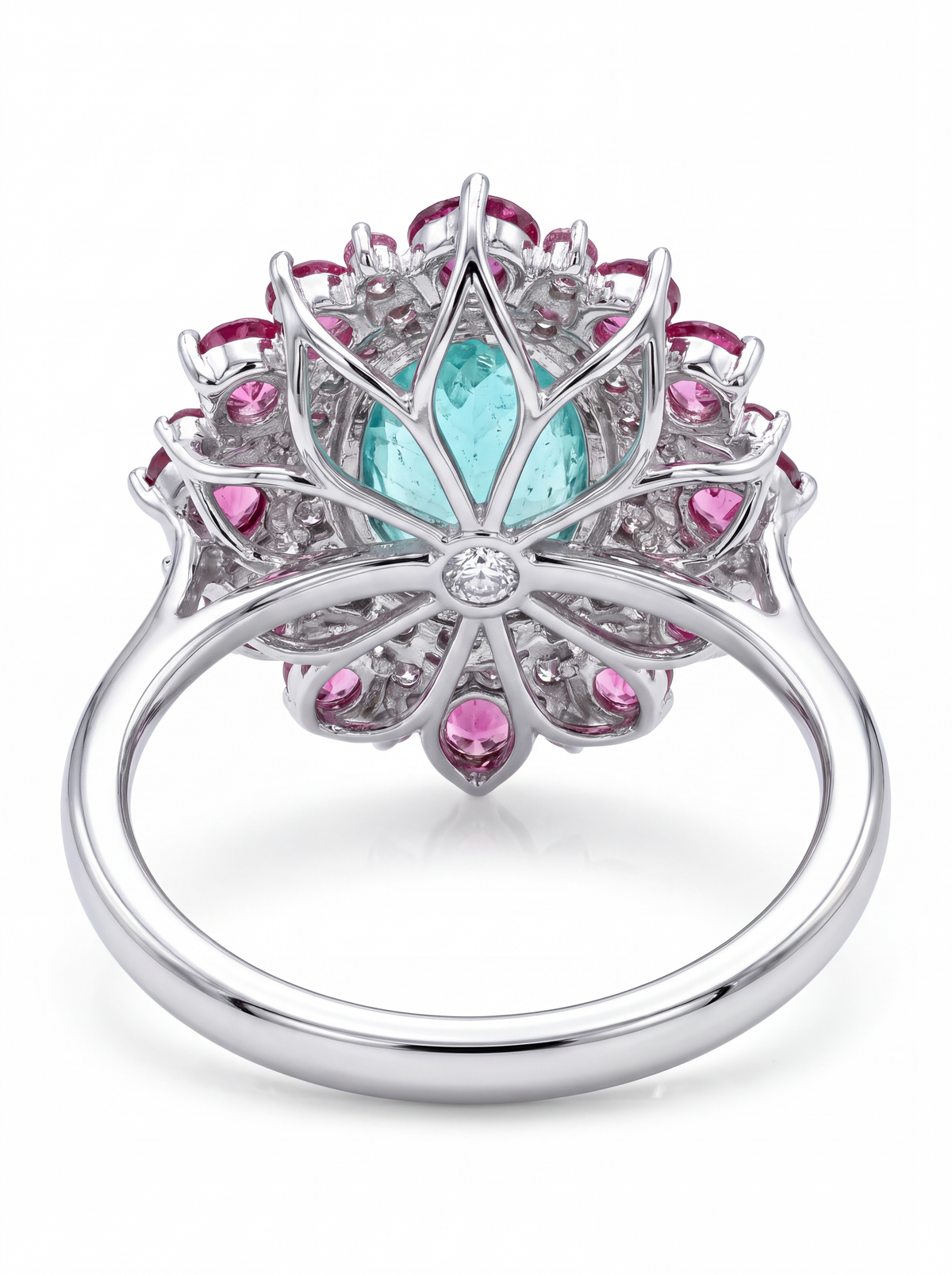 Paraiba Bloom