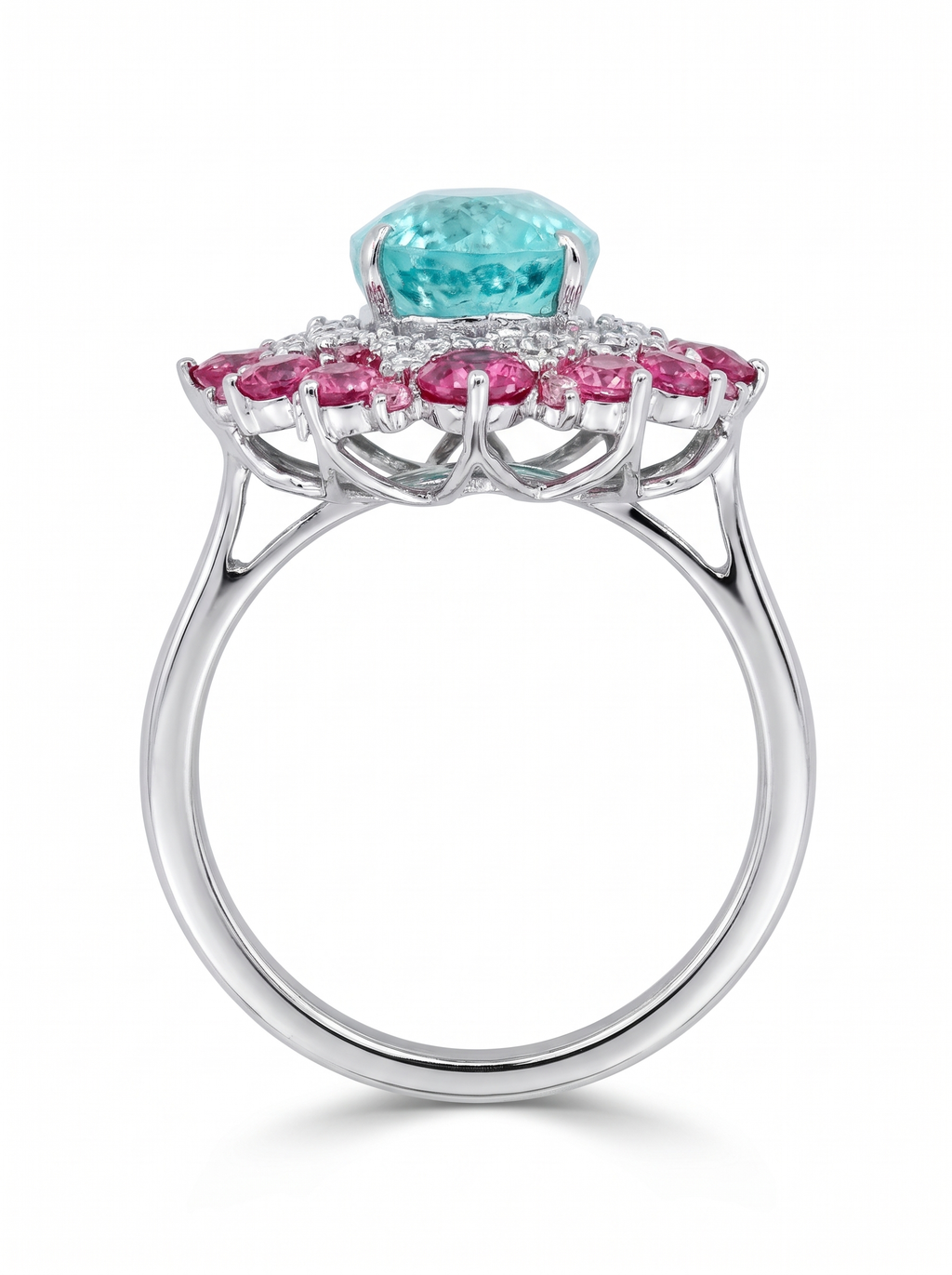 Paraiba Bloom