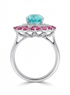 Paraiba Bloom