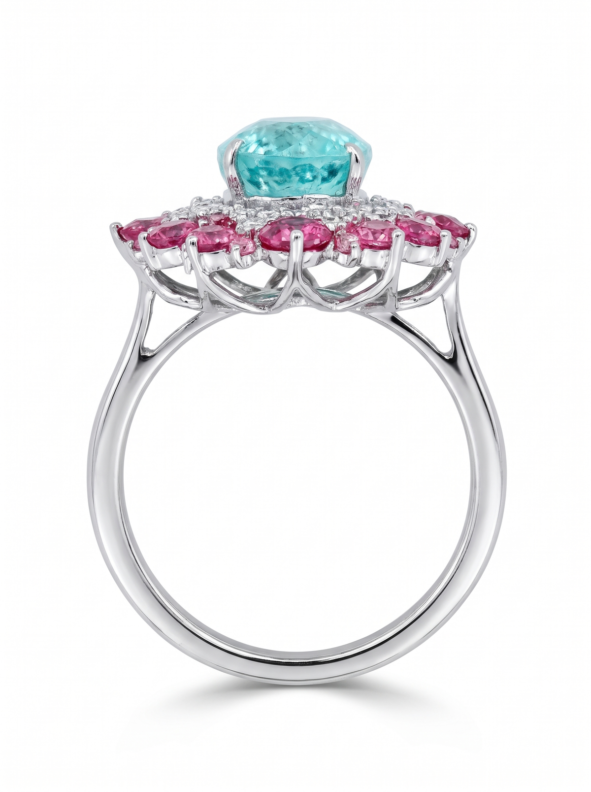 Paraiba Bloom