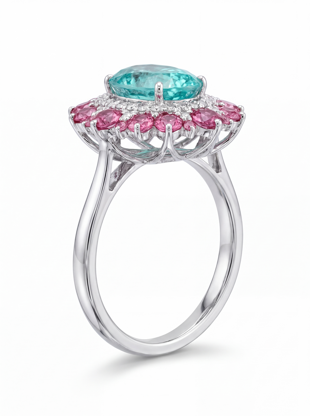 Paraiba Bloom