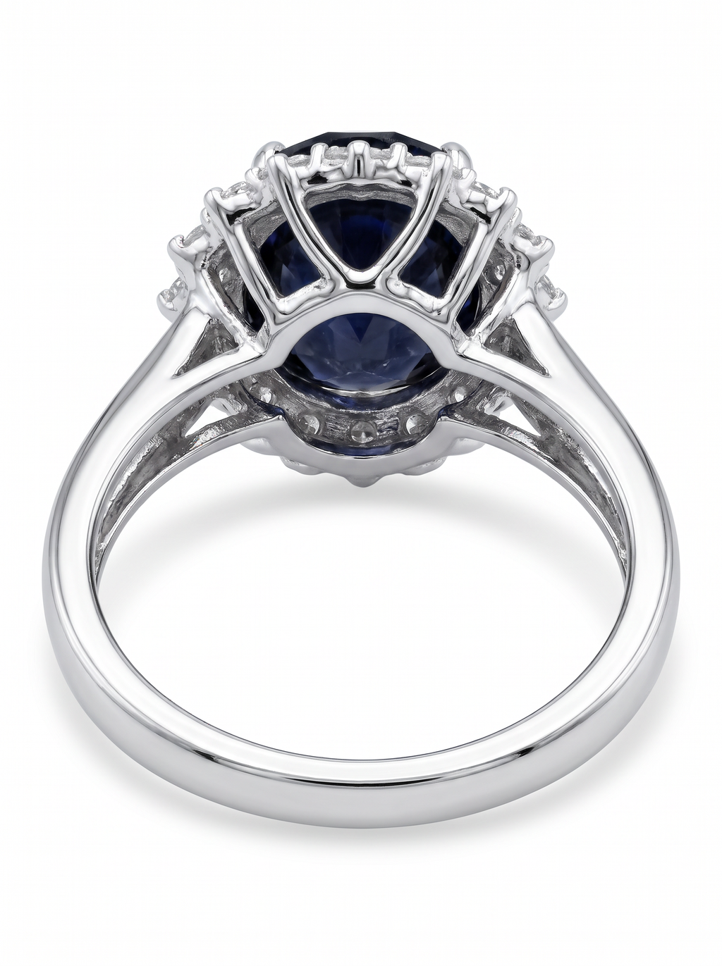 Marine Ring
