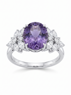Éclosion Violette